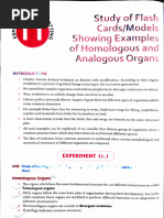 Homologous and analogous