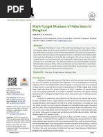 Plant Fungal Diseases Off a Babe an in Benghazi