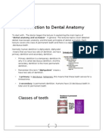 Intro To Dental Anatomy