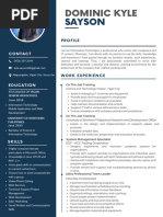 Blue Simple Professional CV Resume