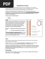 Transport in plants..chapter8