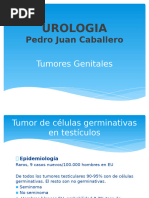 tumores genitales