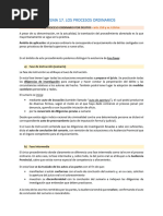 RESUMEN TEMA 17 PROCESO PENAL