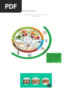 Guia de Retroalimentación NOVIEMBRE Ciencias