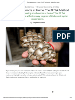 Growing Mushrooms at Home_ The PF Tek Method