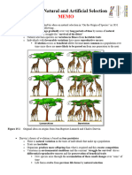 Class #11 Natural Selection ANSWER KEY