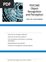 PSYC380 Object Recognition and Perception 2024