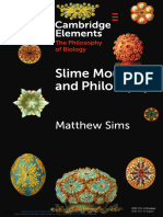 slime-mould-and-philosophy