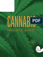 Cannabis How It Affects Our Health Digital