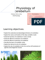 The Physiology of Cerebellum 