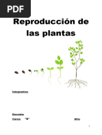 Reproducción de las plantas