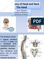 1. Anatomy of Head