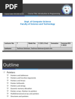 Lecture 7_Pointer