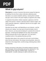 What is glycolysis