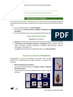 Clase Infecciones de transmisión vertical (Parásitos)