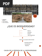 Perdida de La Biodiversidad