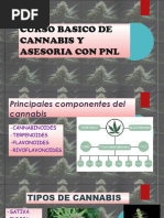 Curso Basico de Cannabis y Asesoria Con Pnl 1