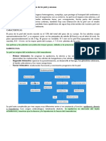 RESUMEN_1°APORTE_DERMA