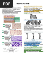 7 Traumatologia