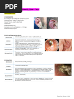 Resumo Otorrinolaringologia Final