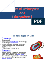 Structure of Prokaryotiv and Eukaryotic Cell