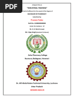 Industrial Traning Report ATUL  2024-1