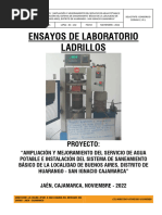 Ensayos de Ladrilos Nov 2022