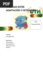 Sinergias Entre Adaptación y Mitigación Caso Omoa (1)