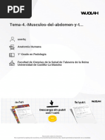 TEMA 4- Anatomía humana