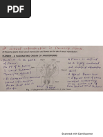 L-1 Sexual Reproduction in Flowering Plants