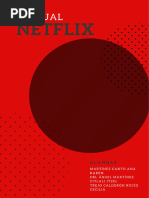 Manual Netflix