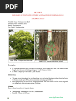 Agrostology class notes- 6