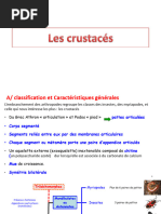 crustacés