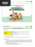 2° - EXPERIENCIA 09 - NOVIEMBRE