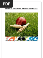 Physical Education Project On Cricket