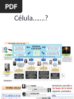 TEMA 4 CELULA