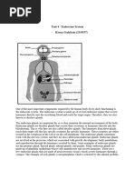 unit 4 (2)