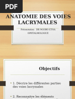 Anatomie Des Voies Lacrymales 2022