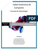 Fermentación de Carbohidratos