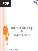 Ppt1 Habilitation b0 Revep 28avril2015