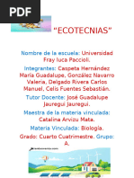 ECOTECNIAS-1