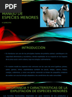 Manejo de Especies Menores