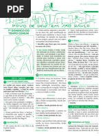 Ano-49C-17-7o-DOMINGO-DO-TEMPO-COMUM