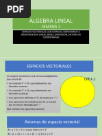 ALGEBRA LINEAL(semana1)