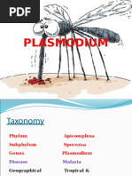 Plasm Odium