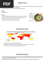 Hepatitis B Documentos