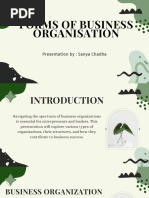 forms of business organisation (1)