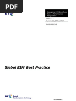 Siebel Eim Best Practise1