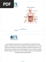 CLASE 5_SISTEMA-DIGESTIVO