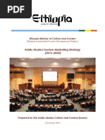 Addis Ababa Marketing Strategy Final Submitted November 2015